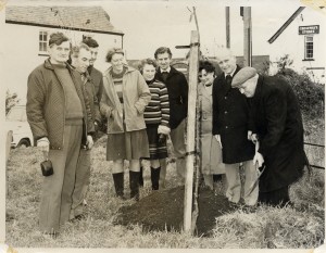 @1970 planting tree on green